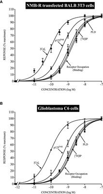 Bombesin Receptor Family Activation and CNS/Neural Tumors: Review of Evidence Supporting Possible Role for Novel Targeted Therapy